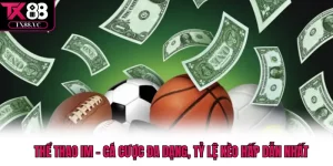 Thể thao IM – Cá Cược Đa Dạng, Tỷ Lệ Kèo Hấp Dẫn Nhất